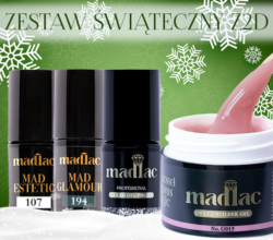 Zestaw świąteczny Z2D